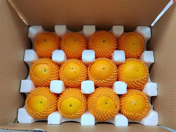 不銹鋼消防水箱施工案例